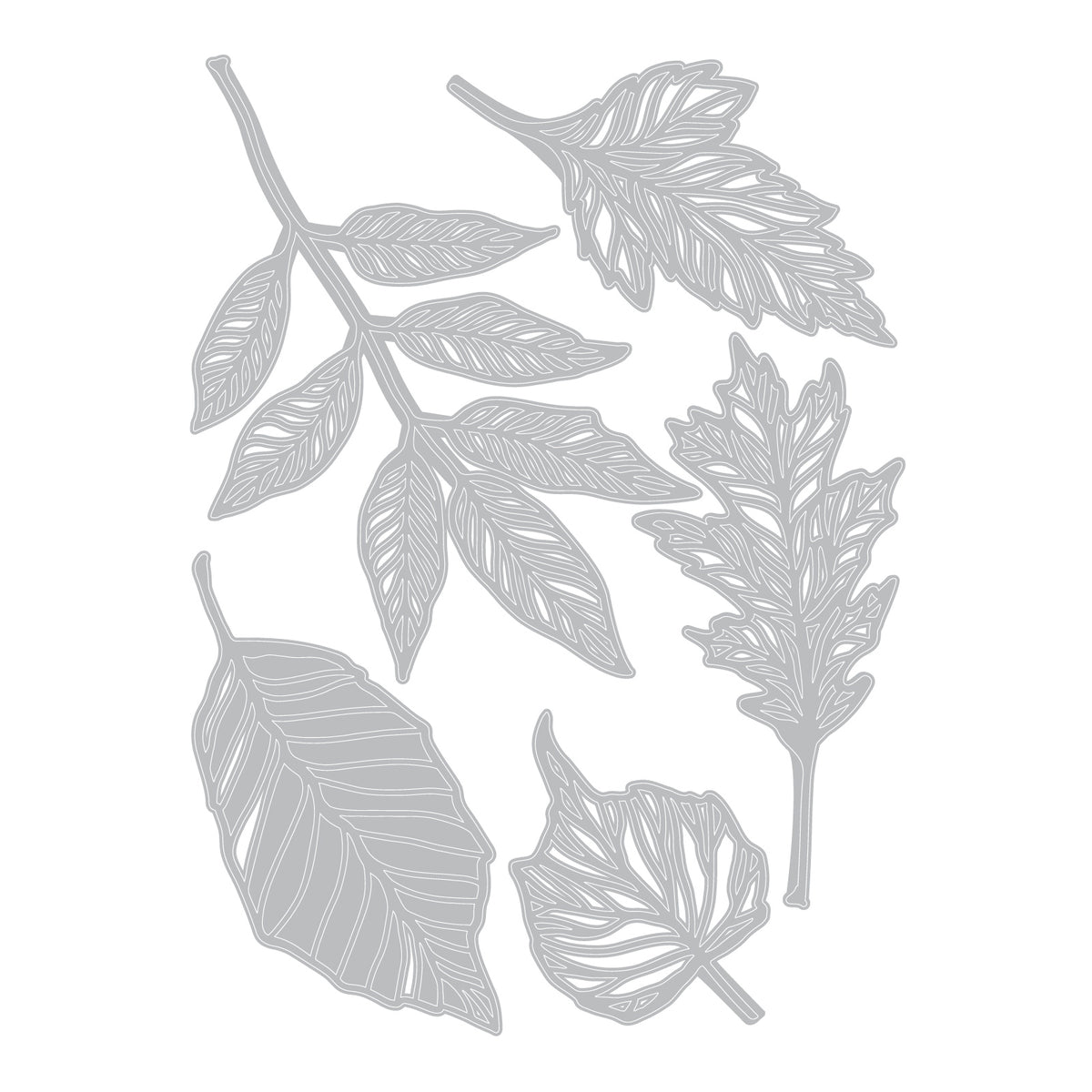 Sizzix Thinlits Die Set 5PK - Skeleton Leaves by Tim Holtz Sizzix Thinlits Die Set 5PK - Skeleton Leaves by Tim Holtz