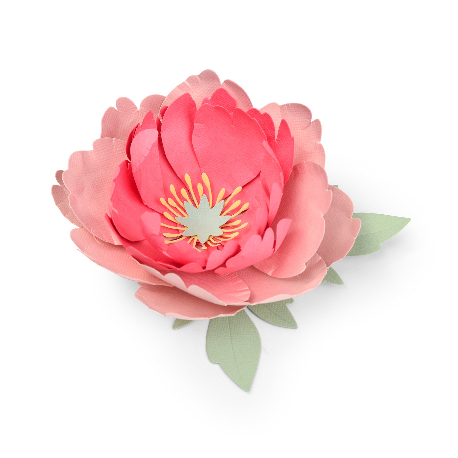 sizzix-thinlits-die-set-5pk-peony