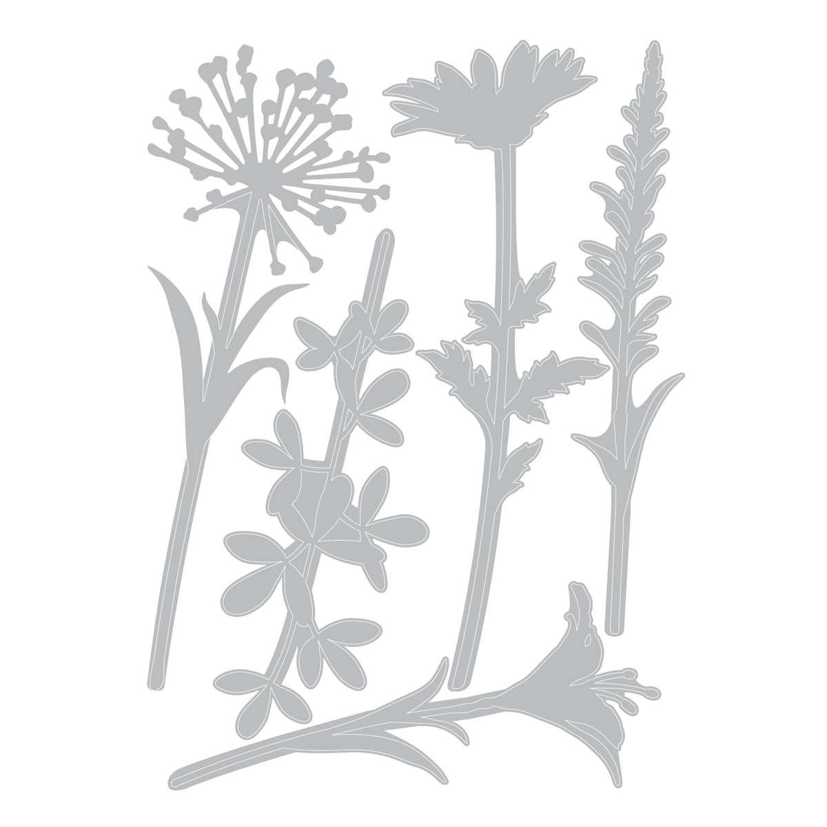 Sizzix Thinlits Die Set 5PK - Wildflower Stems #2 by Tim