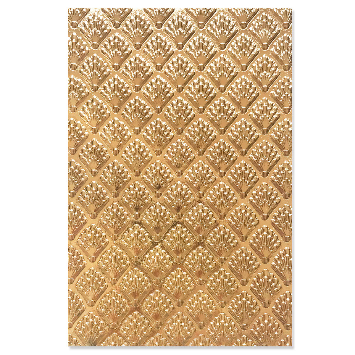 Sizzix 3-D Textured Impressions Embossing Folder - Shells – Sizzix.com