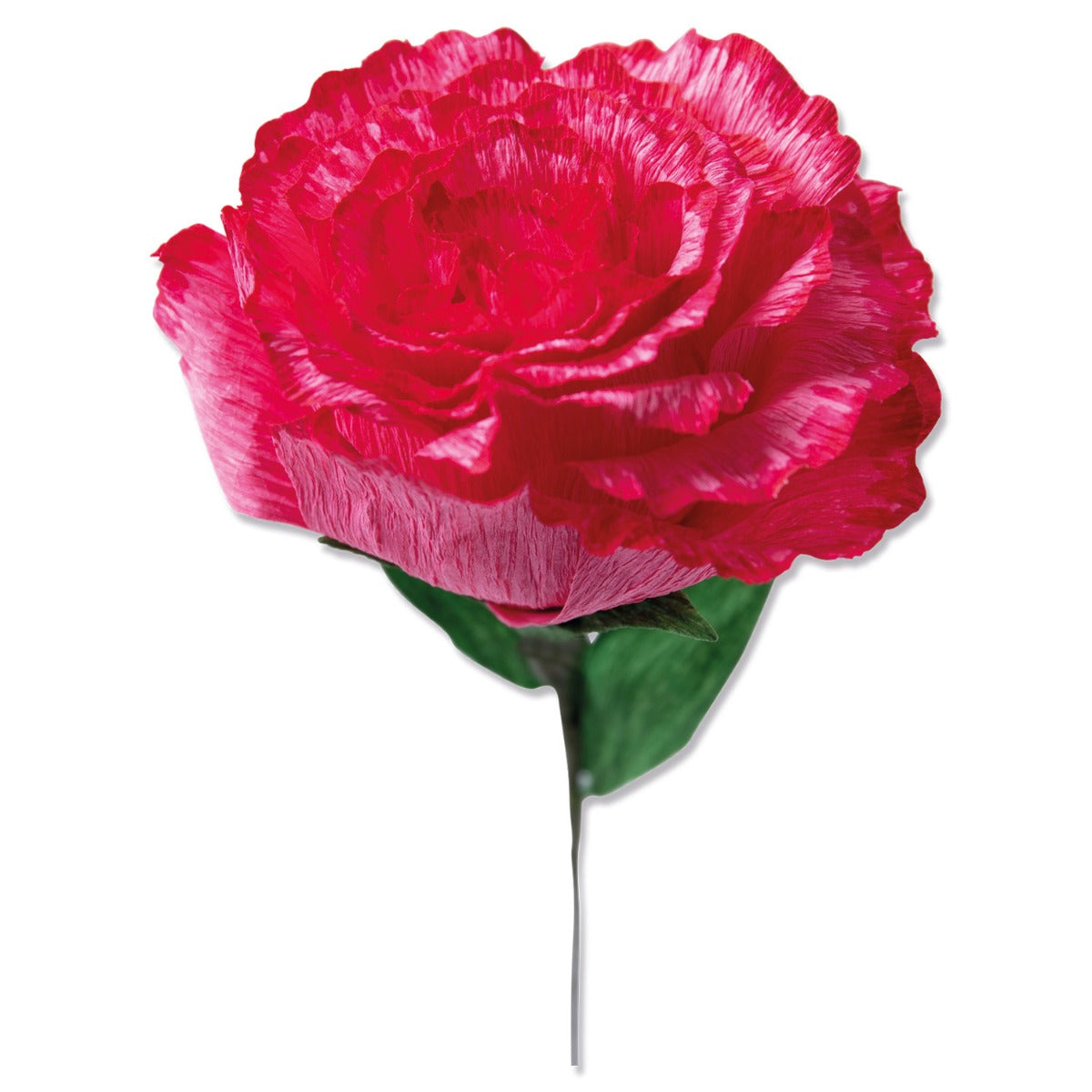 Rosegarden 01 & 04 4本 ×3トータル12本セット Sizzix Thinlits Die Set 4PK - Carnation – Sizzix.com