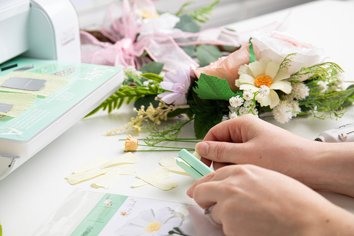 666113_1_1200x1200.jpg?v=