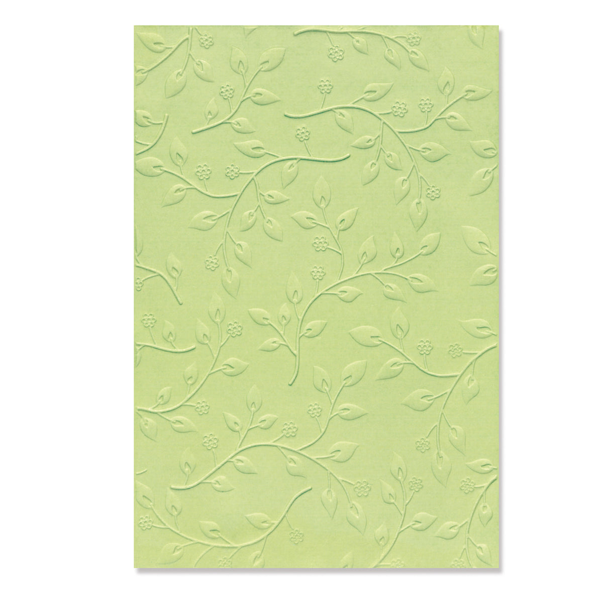 3-D Textured Impressions Embossing Folder - Summer Foliage by