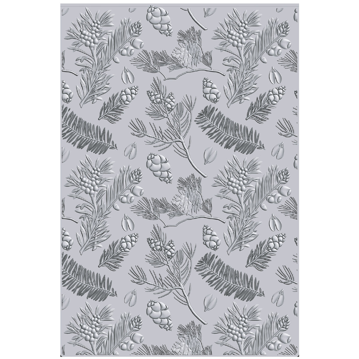 Quality Company Design Program 5冊セット Sizzix 3D Textured Impressions A5 Embossing Folder - PinesÃƒ€š by