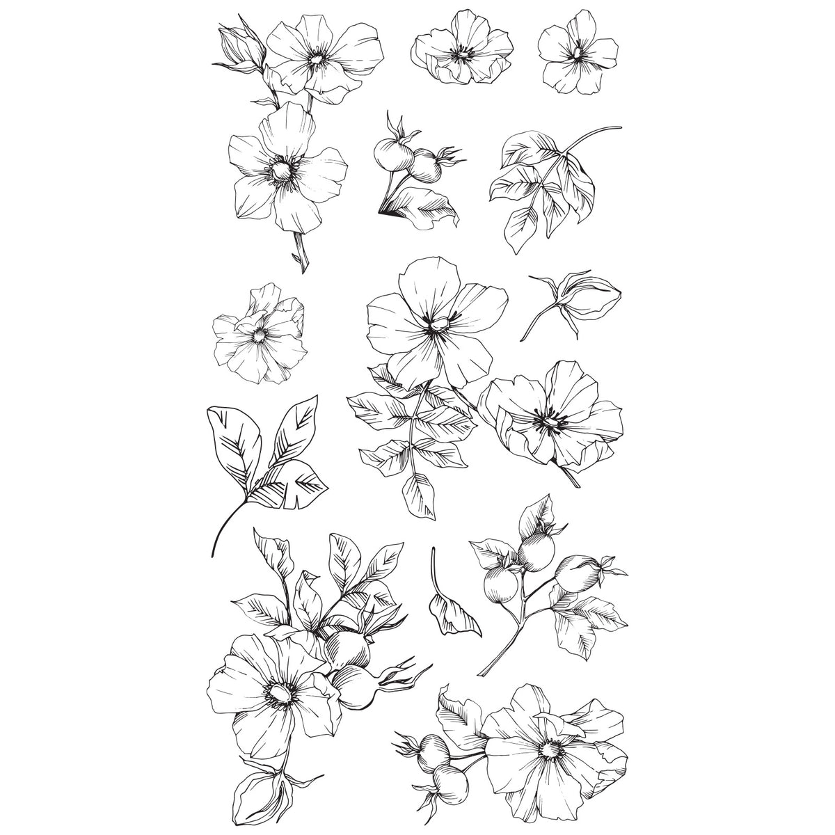 666870_Wildflower_Botanicals_L