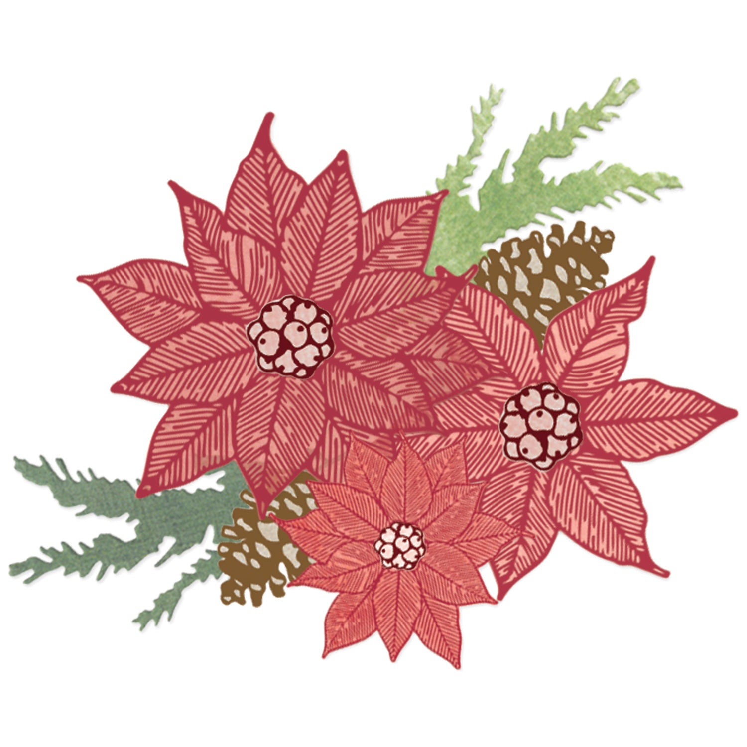 sizzix-clear-stamps-set-16pk-w-10pk-framelits-poinsettia-trio-by-49-and-market