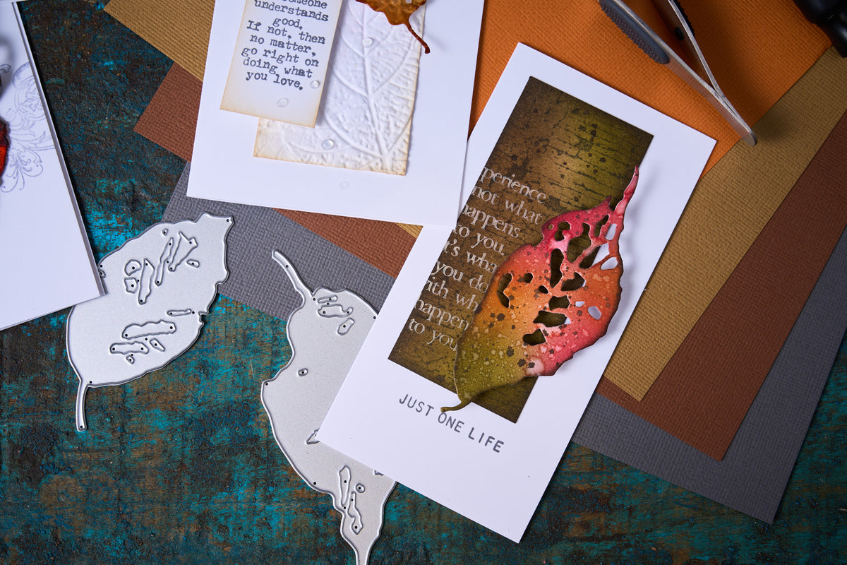 Sizzix Thinlits Die Set 5PK - Leaf Fragments by Tim Holtz – Sizzix.com