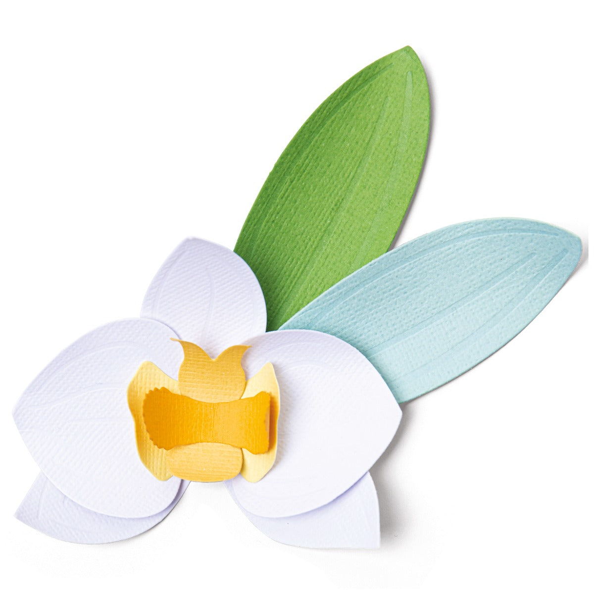 Sizzix Thinlits Die Set 6PK - Orchid – Sizzix.com