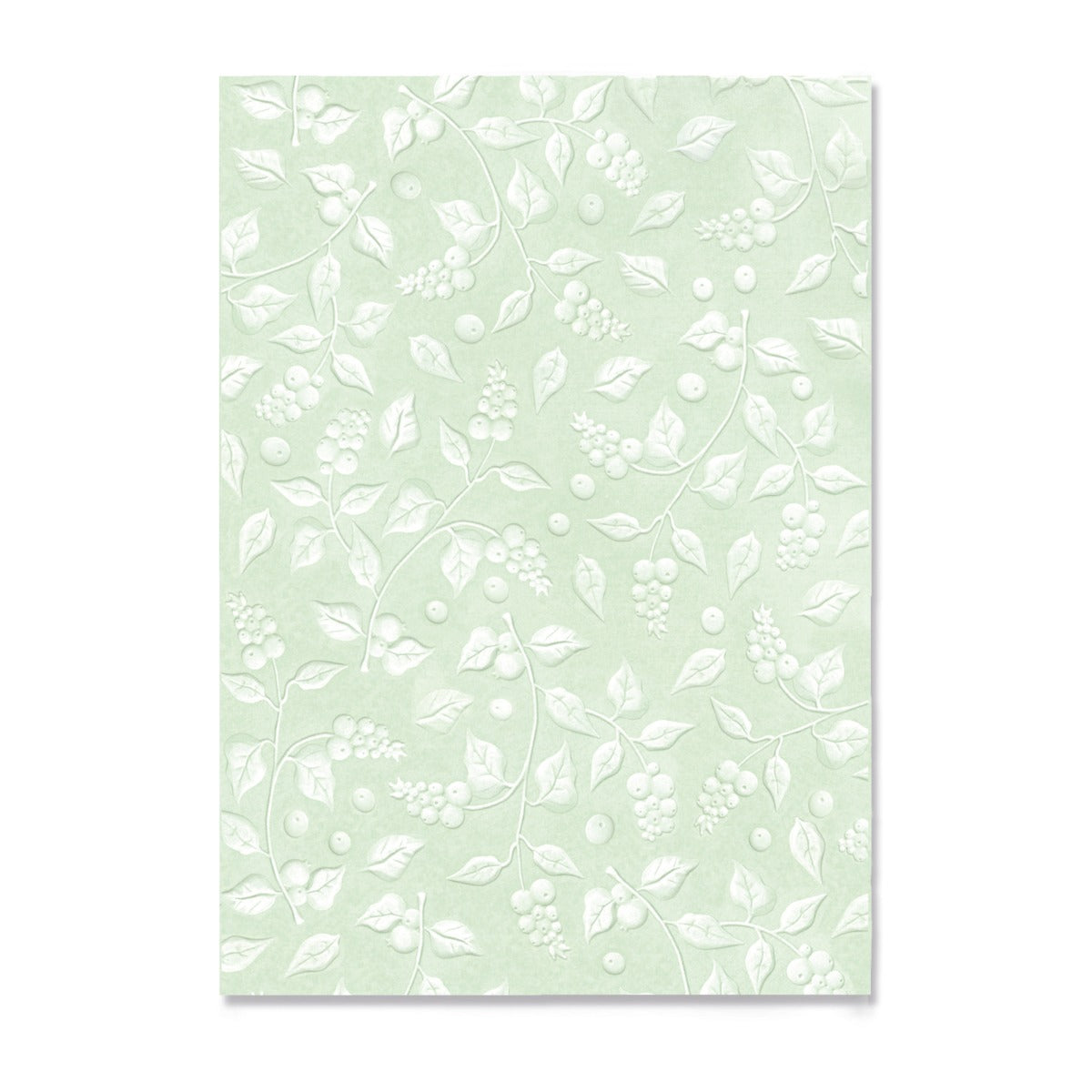 3d-textured-impressions-a5-embossing-folder-a-snowberry
