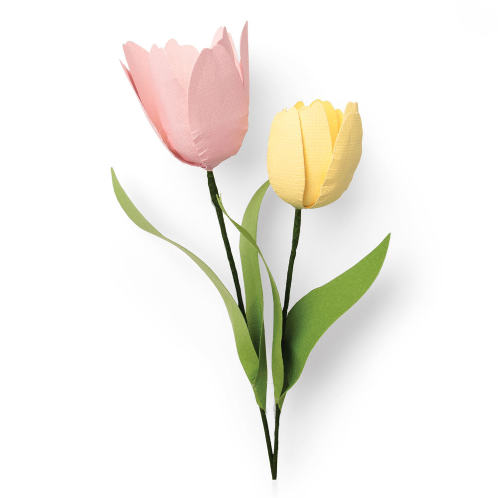20_ch1_664390_tulip_low_res_1_