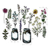 Sizzix Framelits Die Set 16PK - Flower Jar by Tim Holtz