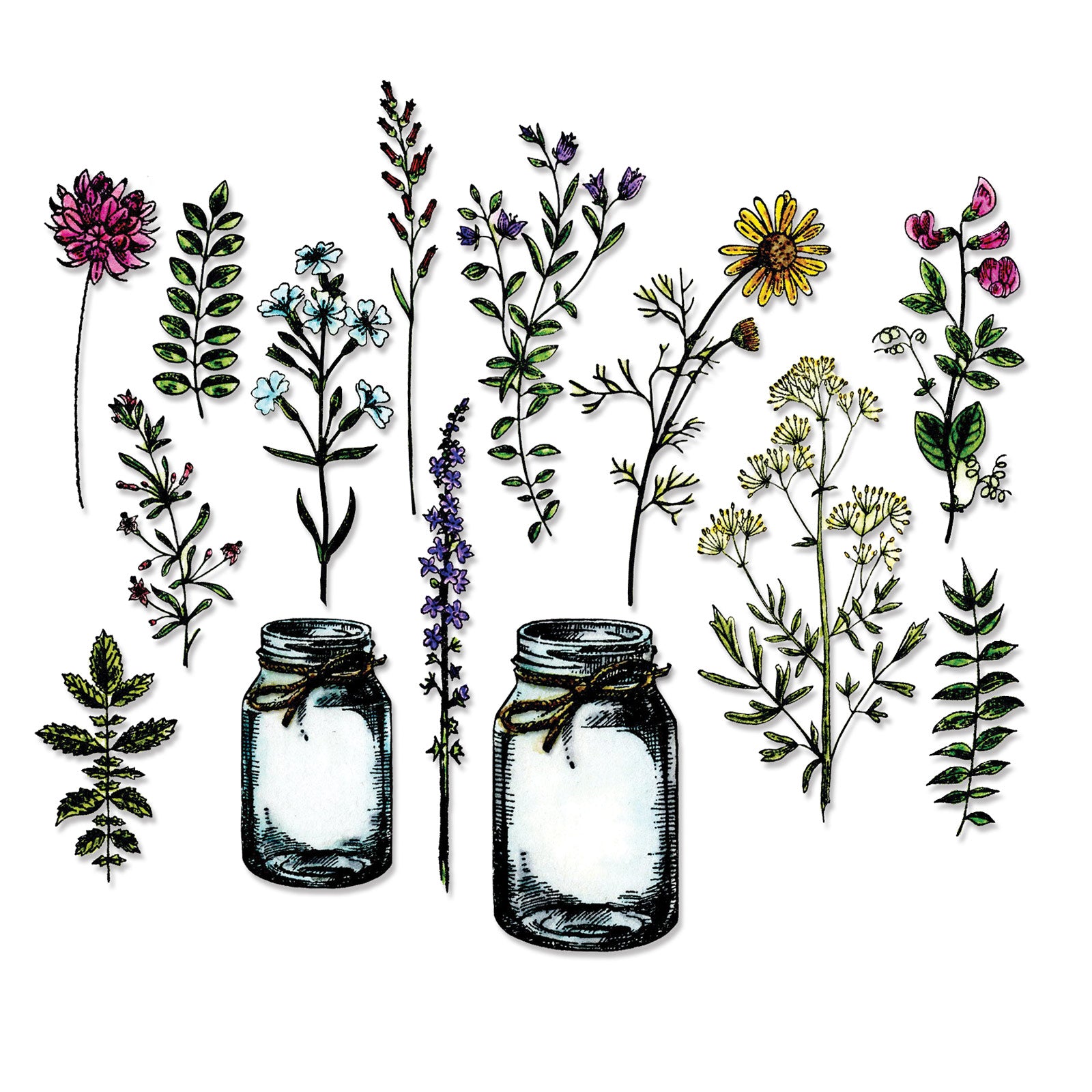 Sizzix Framelits Die Set 16PK - Flower Jar by Tim Holtz – Sizzix.com