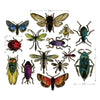 Sizzix Framelits Die Set 14PK - Entomology by Tim Holtz