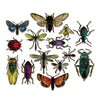 Sizzix Framelits Die Set 14PK - Entomology by Tim Holtz