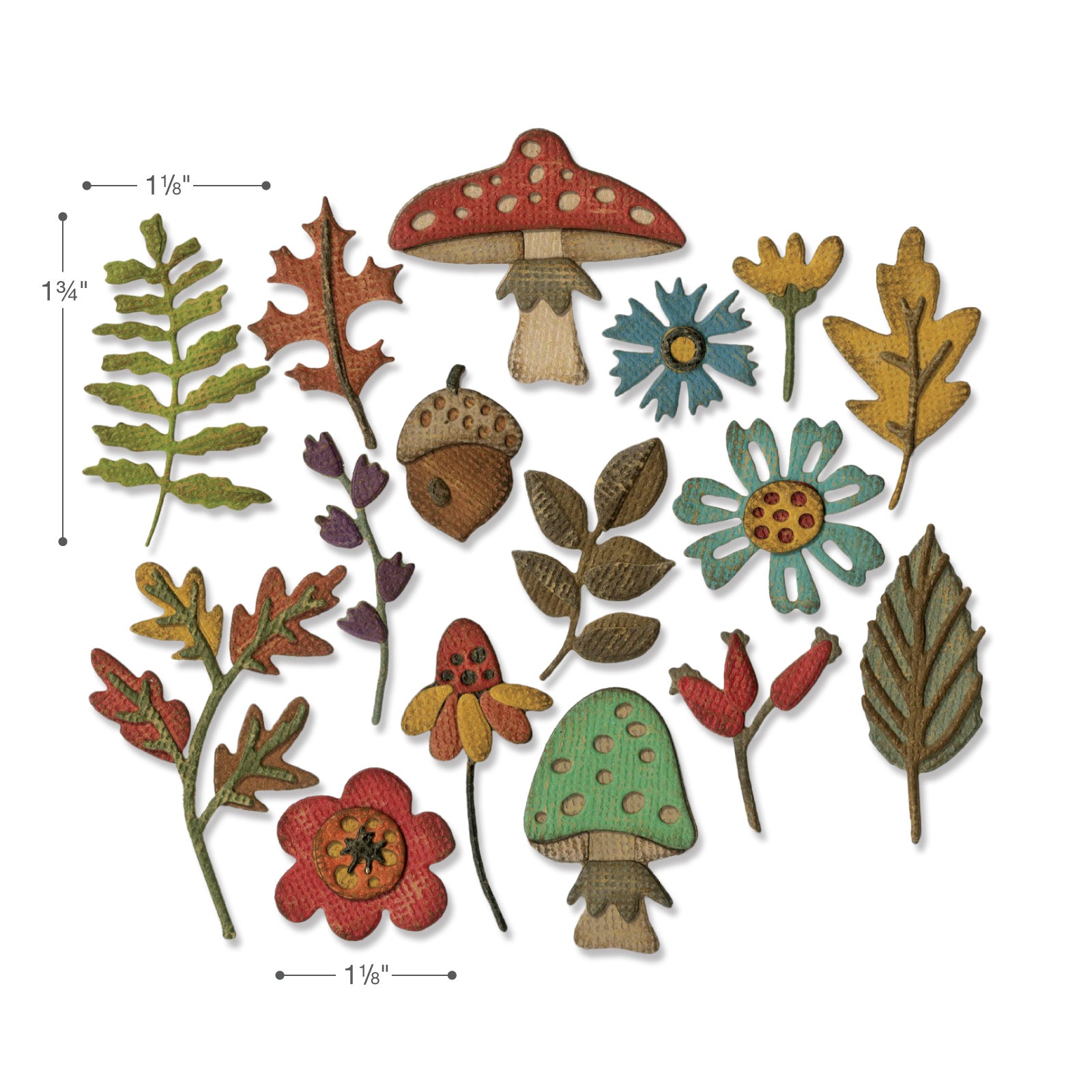Sizzix Festive Foliage Thinlits Die Set Sizzix Festive Foliage Thinlits Die Set