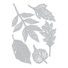 Sizzix Thinlits Die Set 5PK - Skeleton Leaves by Tim Holtz