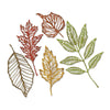 Sizzix Thinlits Die Set 5PK - Skeleton Leaves by Tim Holtz
