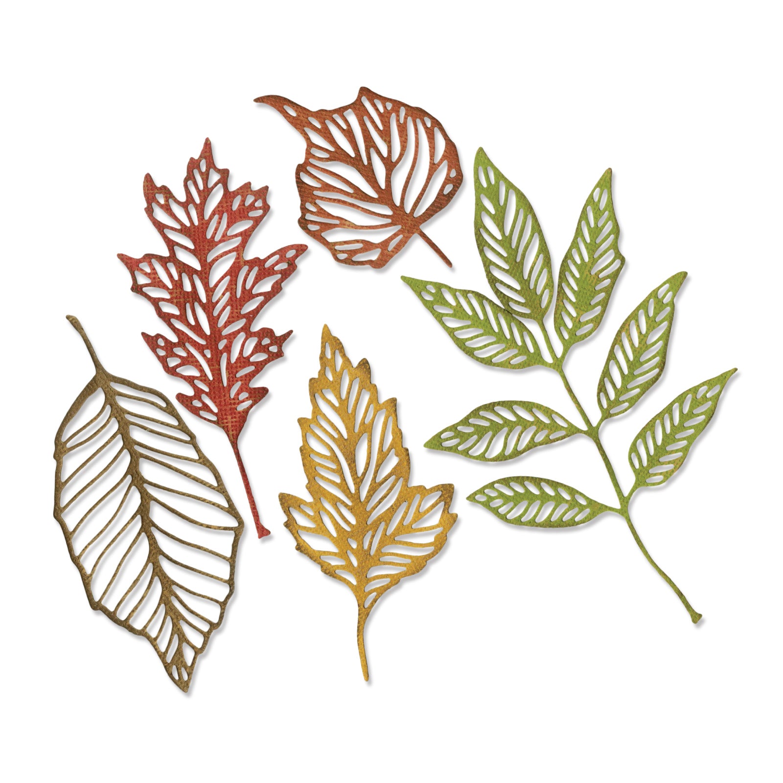 Leaf Illustrations 　2冊セット 2025 Leaf History Book Sports Edition Chapter 2 Hobby Box | Steel