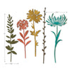 Sizzix Thinlits Die Set 5PK - Wildflower Stems #1 by Tim Holtz
