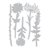 Sizzix Thinlits Die Set 5PK - Wildflower Stems #1 by Tim Holtz