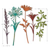 Sizzix Thinlits Die Set 5PK - Wildflower Stems #2 by Tim Holtz