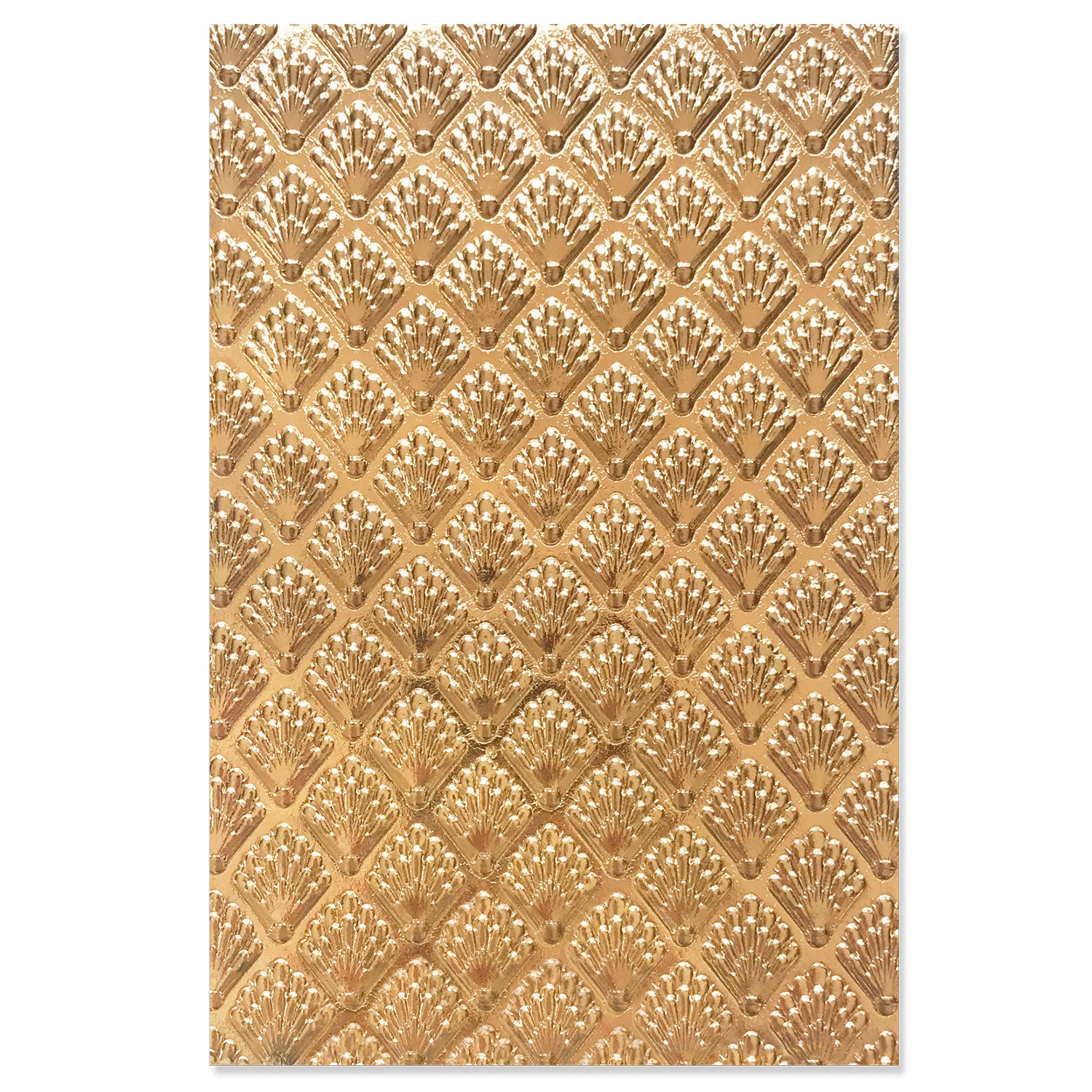 Sizzix 3-D Textured Impressions Embossing Folder - Shells – Sizzix.com
