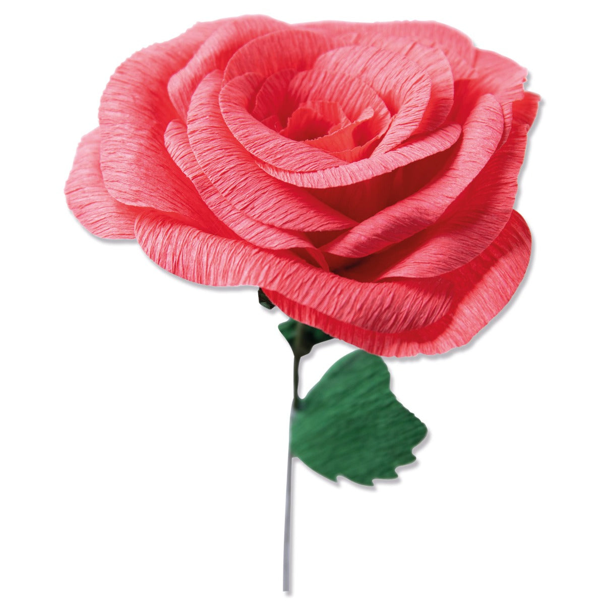 Sizzix Thinlits Die Set 5PK - Classic Rose – Sizzix.com