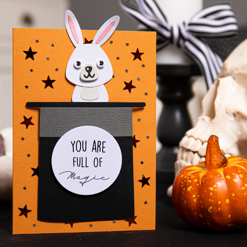 Sizzix Thinlits Die Set 5PK - As If By Magic! – Sizzix.com Sizzix Thinlits Die Set 5PK - As If By Magic! – Sizzix.com