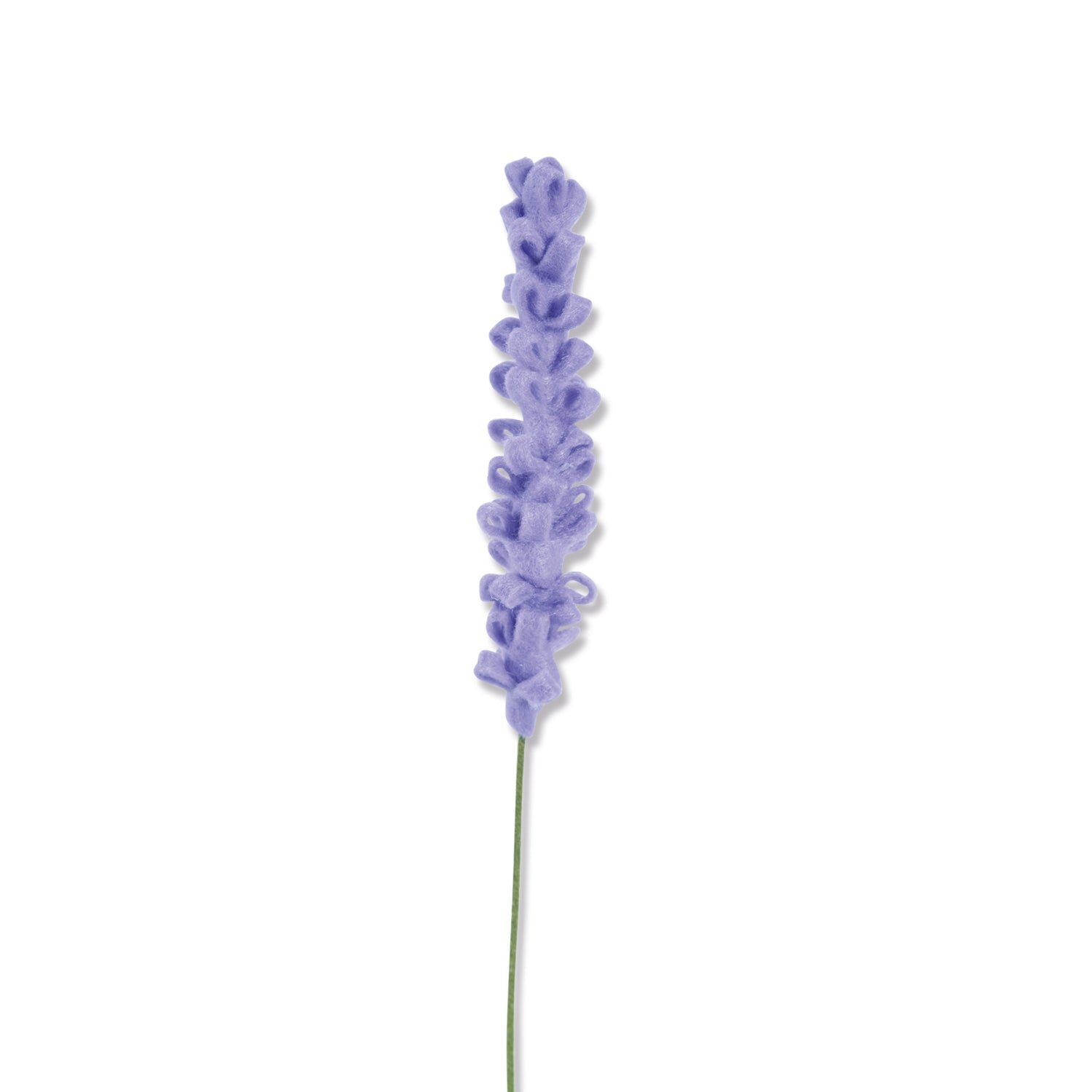Fustella bigz sizzix foglia tropicale Fustella bigz sizzix foglia tropicale