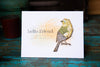 Sizzix Thinlits Die Set 8PK - Vault Lovebirds by Tim Holtz