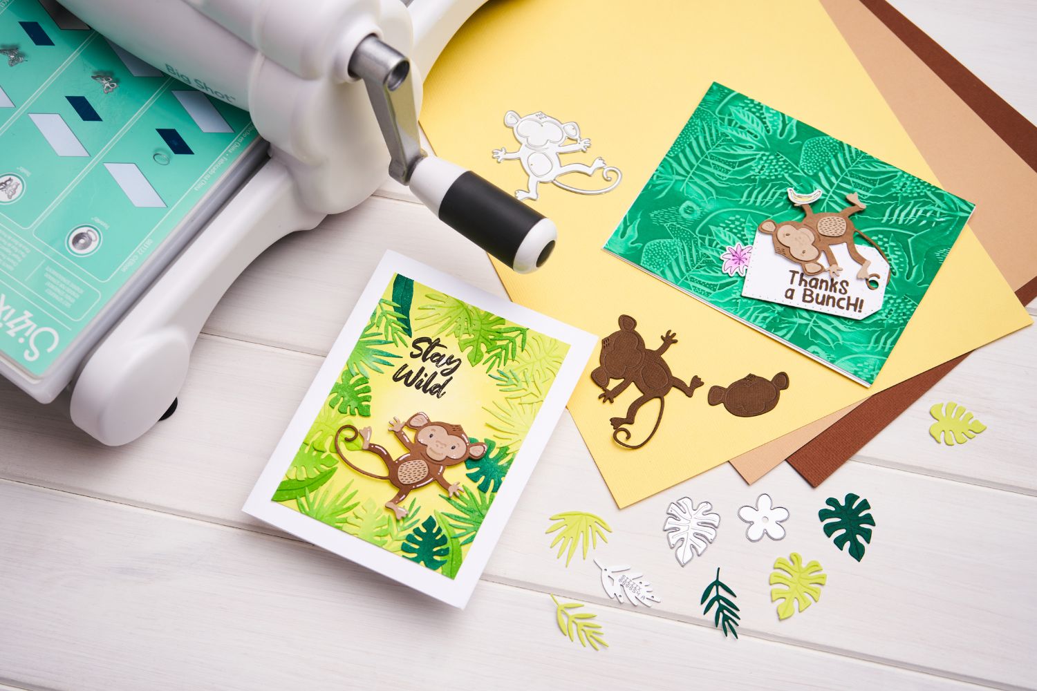 Sizzix 3-D Textured Impressions Embossing Folder - Jungle Textures