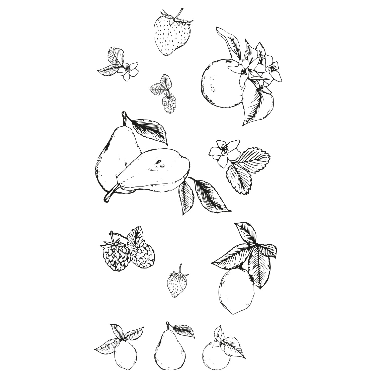 Sizzix Clear Stamps Set 19PK - Botanical Fruit by Lisa Jones