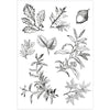 Sizzix A5 Clear Stamps 8PK w/8PK Framelits Die - Forever Leaves by 49 and Market