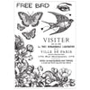 Sizzix Studio Stamps Set 6PK / 3PK Stencils - The Visiter by Cat Kerr