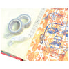 Sizzix Studio Making Essential - Makers Tape 2PK