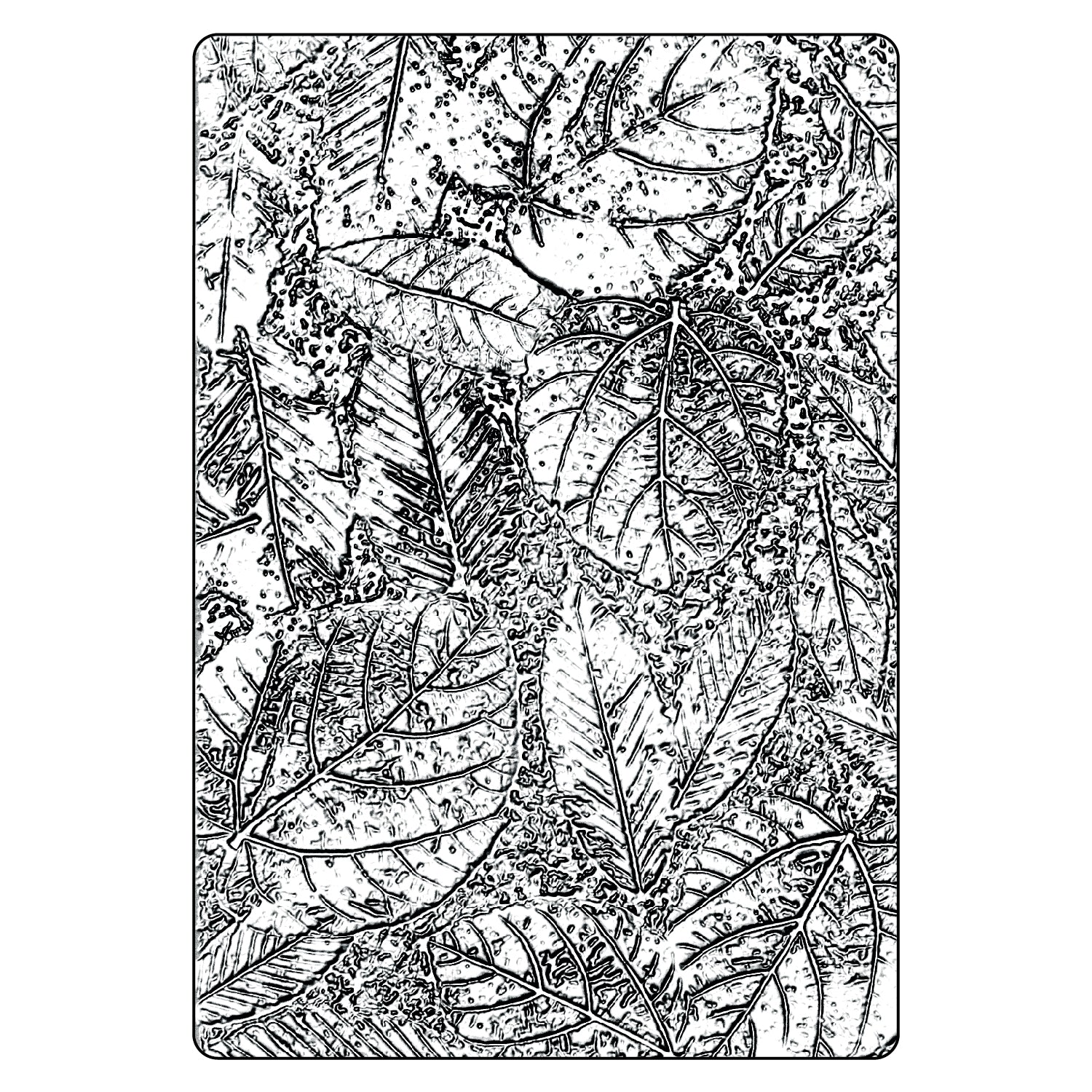 sizzix-3-d-texture-fades-embossing-folder-foliage-large-a5-by-tim-holtz