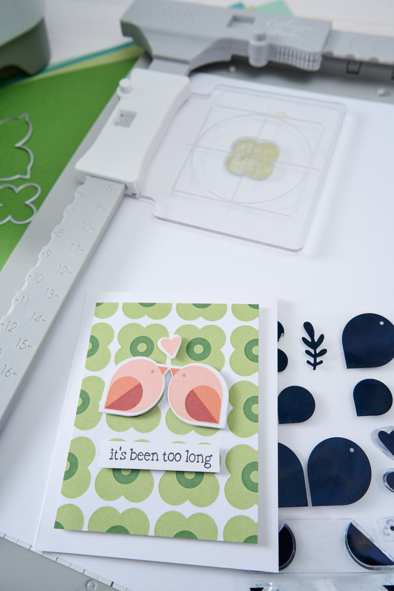 Sizzix Clear Stamps Set 15PK - Print & Pattern Birds & Blooms #1 by Ca ...