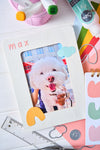 Sizzix Thinlits Die Set 37PK - Simple Letters by Letters by Shells