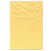 Multi-Level Textured Impressions Embossing Folder - Stars and Lights