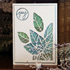 Sizzix Thinlits Die Set 3PK - Poinsettia Pieces by Tim Holtz