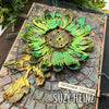 Sizzix Thinlits Die Set 7PK - Blossom by Tim Holtz