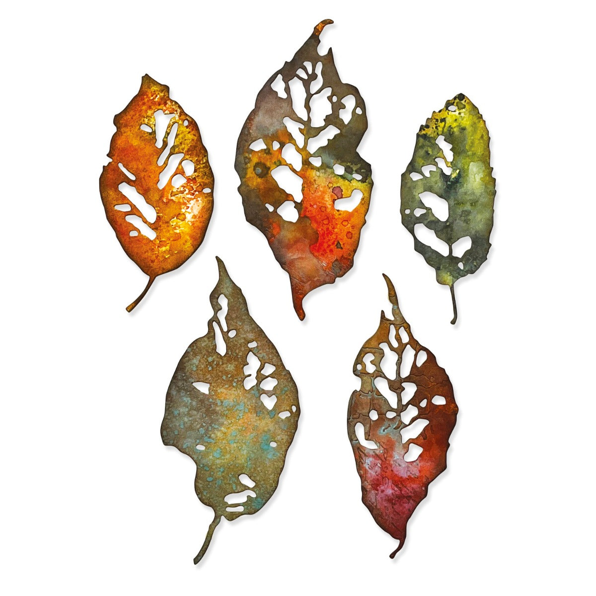 sizzix-thinlits-die-set-5pk-leaf-fragments-by-tim-holtz